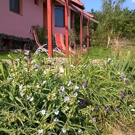 Panorama Vegapansion *
