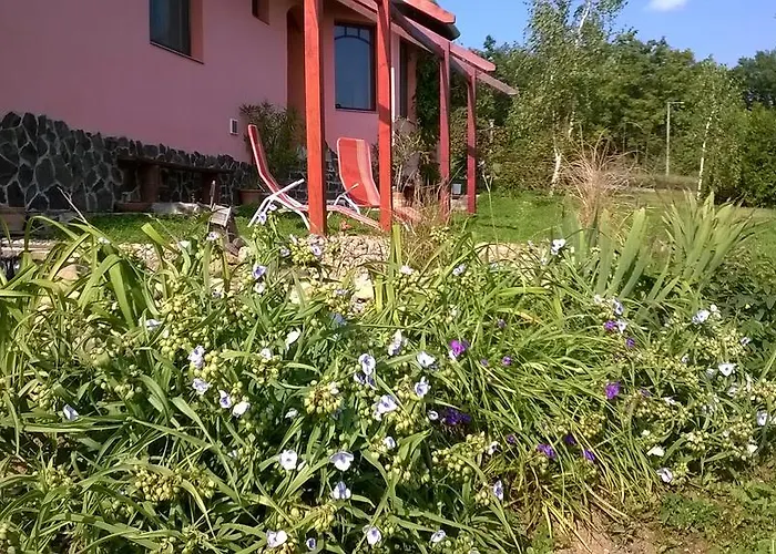 Panorama Vegapansion *
