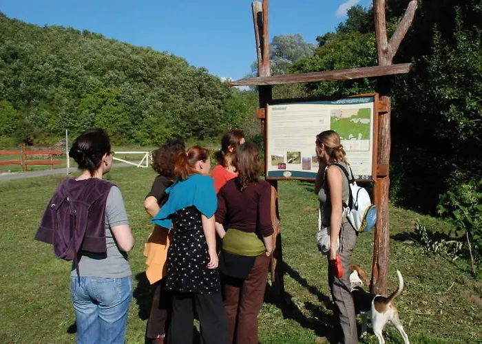 Séjour chez l'habitant Panorama Vegapansion Szendehely